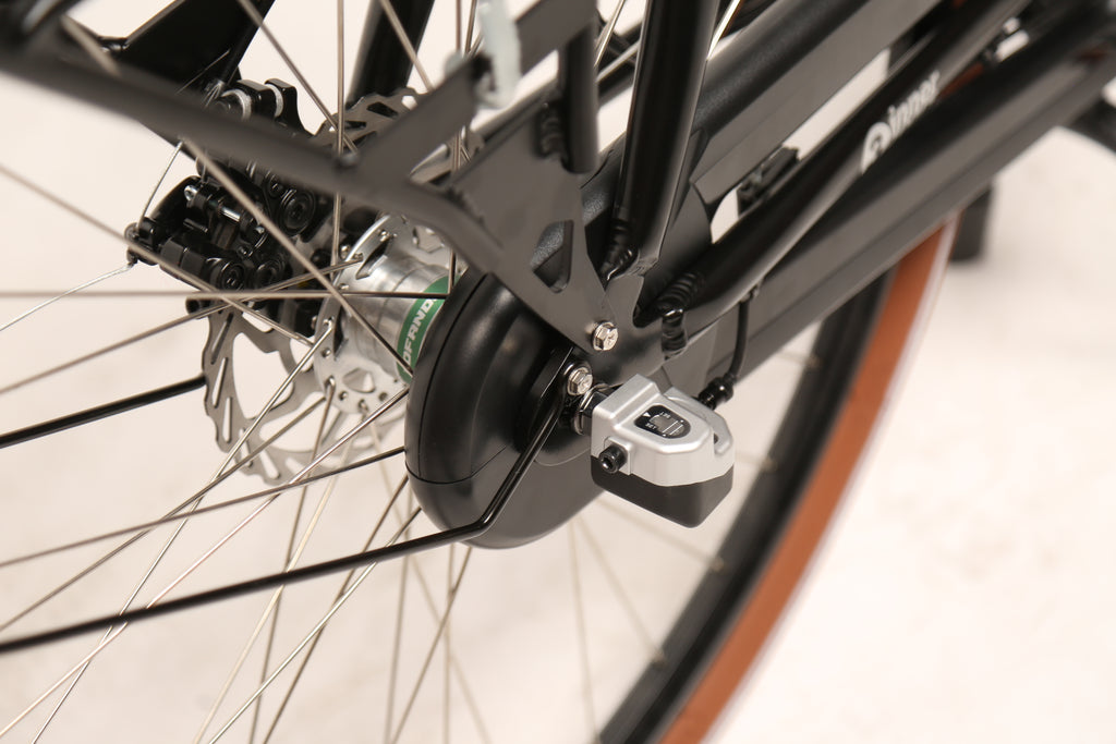 Amsterdam Cargo M Premium